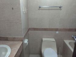 Tanglin Regency (D10), Condominium #602142411